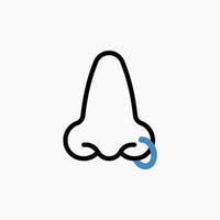 Nose