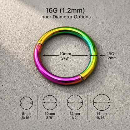 Rainbow PVD Plated Titanium Seamless Clicker Ring - Skin Metals