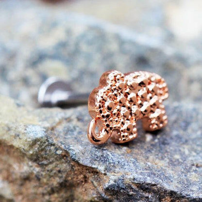 Rose Gold Plated Elephant Labret Labret Impulse Piercings