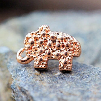 Rose Gold Plated Elephant Labret Labret Impulse Piercings