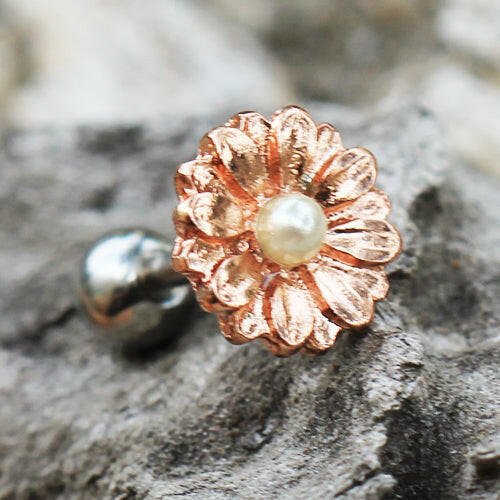 Rose Gold Plated Sweet Pearl Daisy Cartilage Earring Cartilage Earring Impulse Piercings