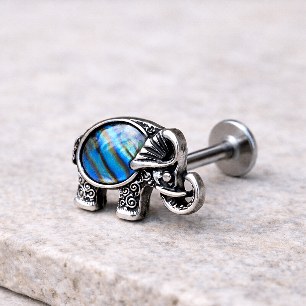 Close up of natural abalone shell on elephant labret stud, iridescent oval shell detail 316L stainless steel