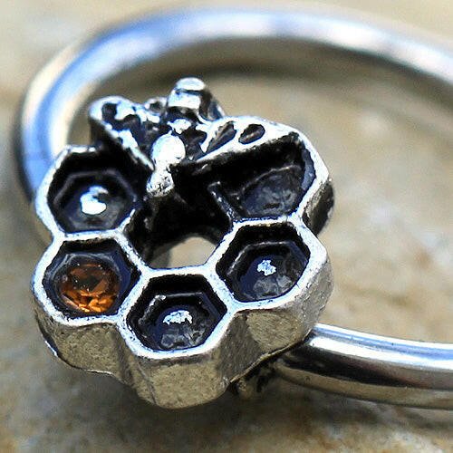 Stainless Steel Bee and Honeycomb Seamless Ring / Cartilage Earring Cartilage Earring Impulse Piercings