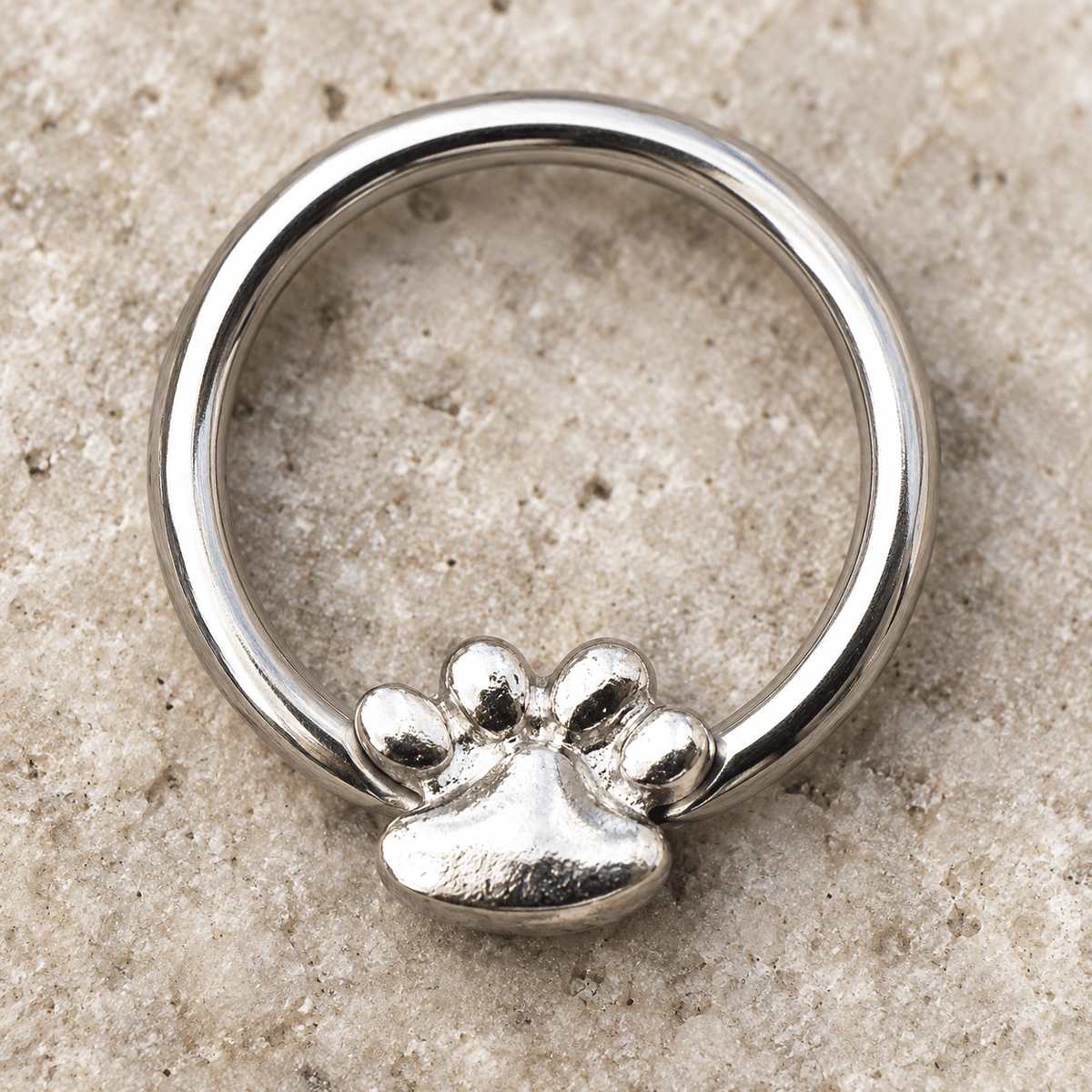 Stainless Steel Dog Puppy Paw Snap-in Captive Bead Ring / Septum Ring - Skin Metals