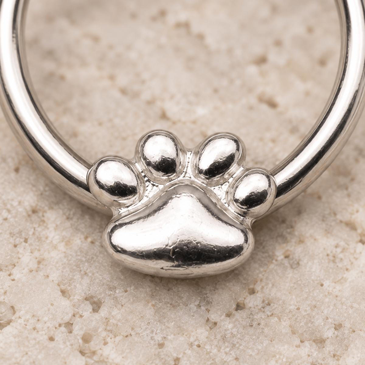 Stainless Steel Dog Puppy Paw Snap-in Captive Bead Ring / Septum Ring - Skin Metals