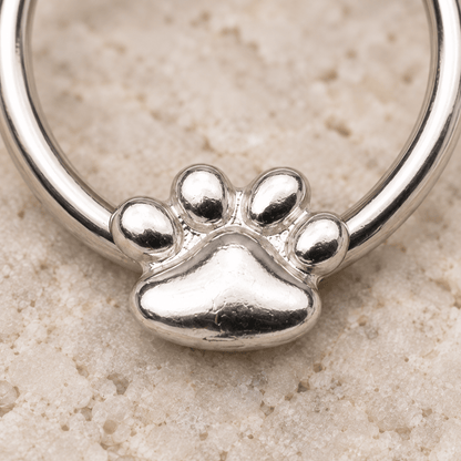 Stainless Steel Dog Puppy Paw Snap-in Captive Bead Ring / Septum Ring - Skin Metals