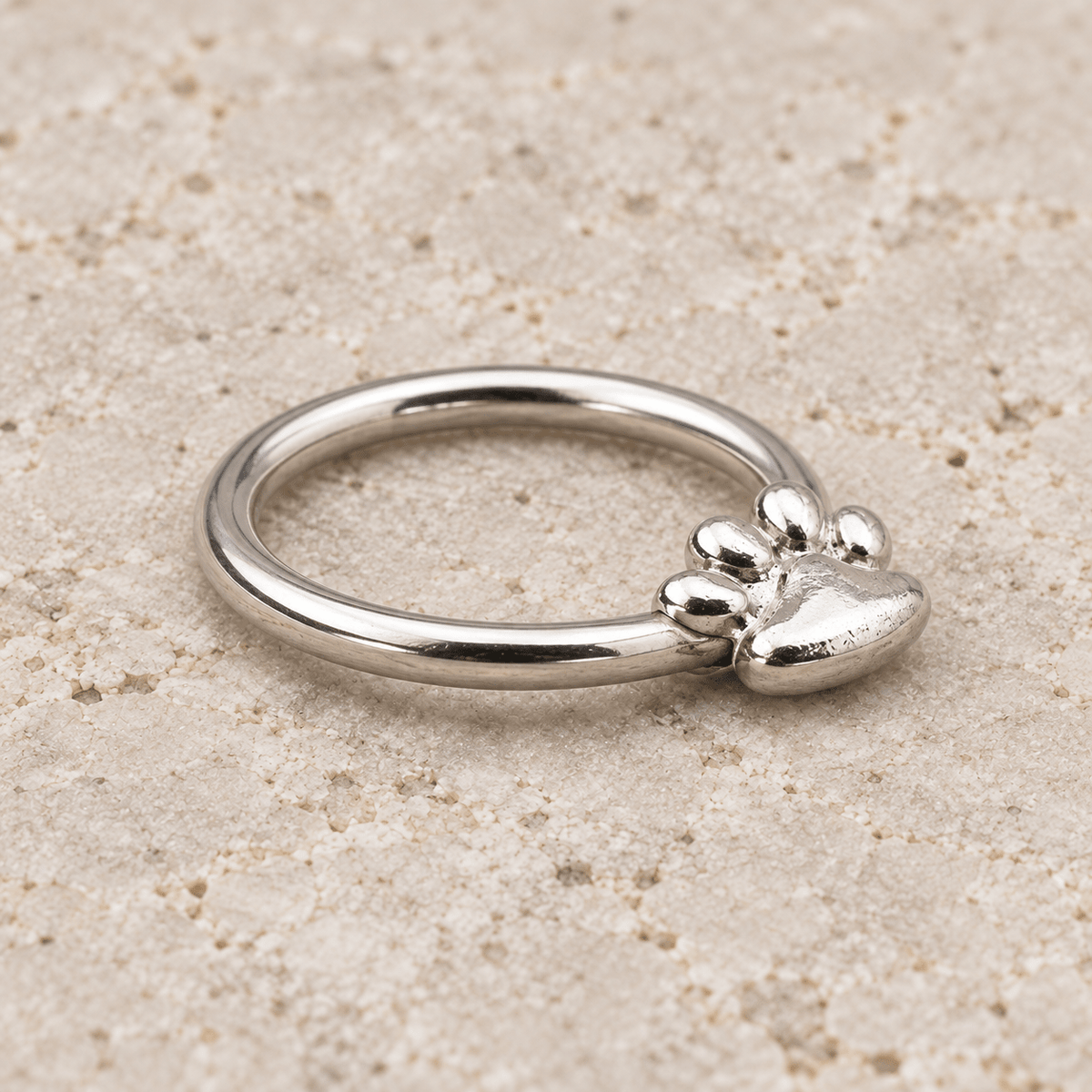 Stainless Steel Dog Puppy Paw Snap-in Captive Bead Ring / Septum Ring - Skin Metals