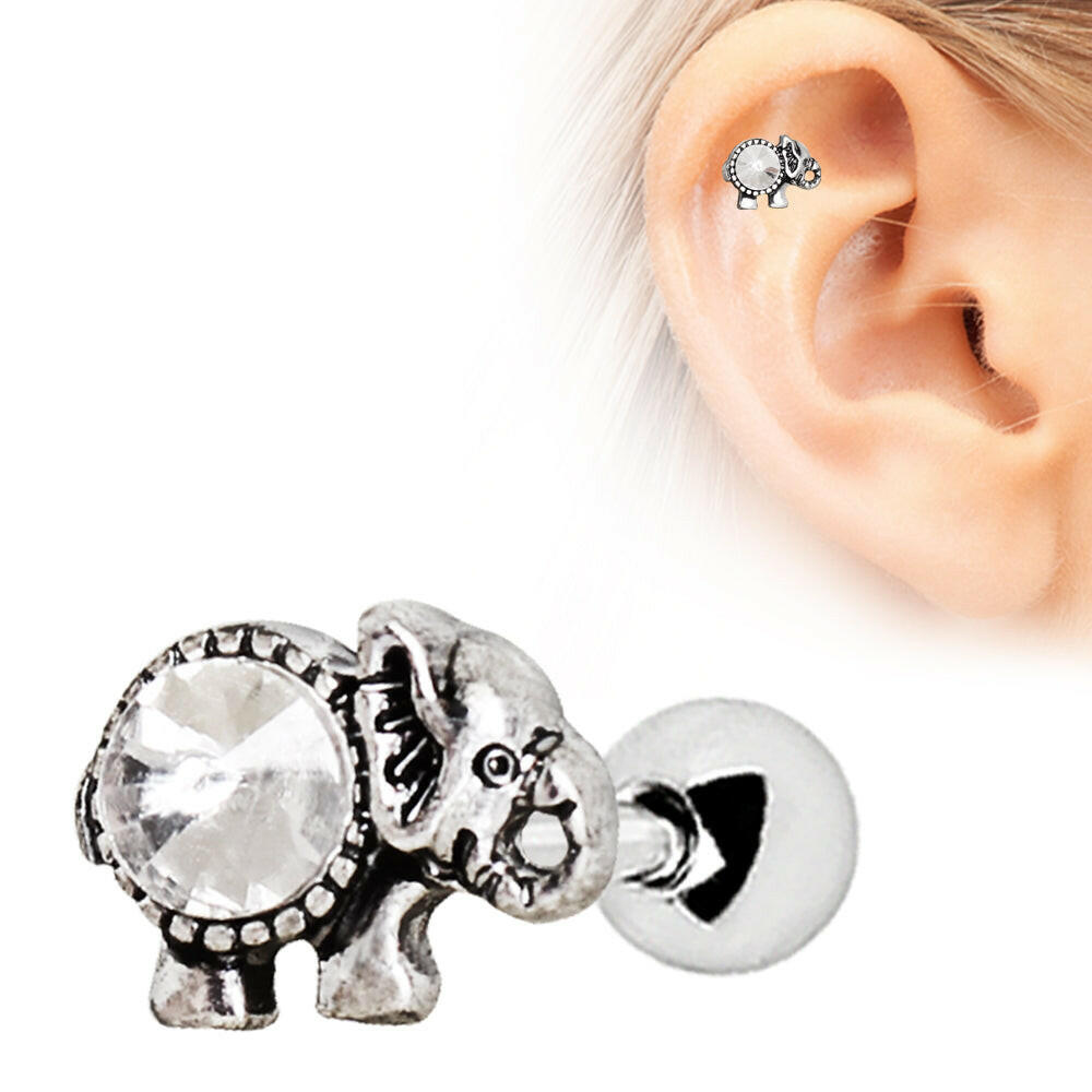 Stainless Steel Elephant Cartilage Earring Cartilage Earring Impulse Piercings