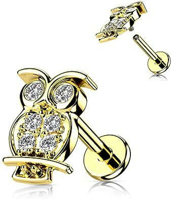 Surgical Steel Internally Threaded CZ Paved Owl Top Flat Back Stud for Labret Monroe Cartilage Labret Impulse Piercings 16GA Length: 6mm Gold